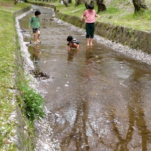水温む頃