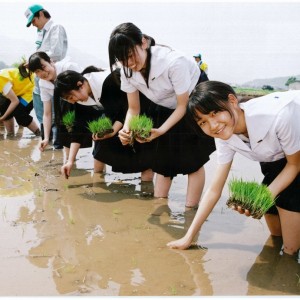賑わいの田植祭り