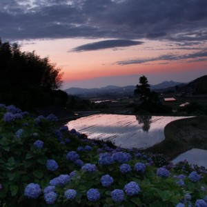 夕暮れの里