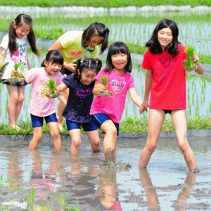 一年生の田植え