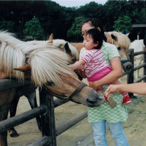 お馬さんと仲良し