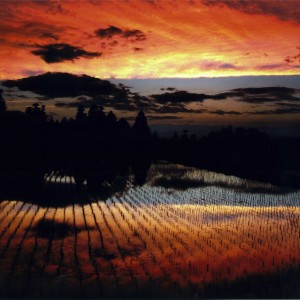 早苗と夕陽