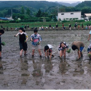 みんなで御田植え