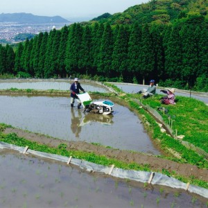小さな棚田