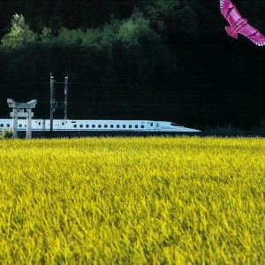 里の秋
