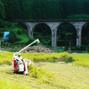 水害にめげず秋の収穫