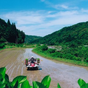 山里の準備