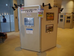 P1140336