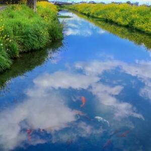 春の小川