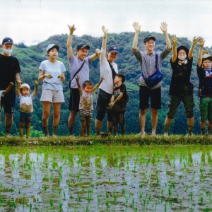 天空の田植え