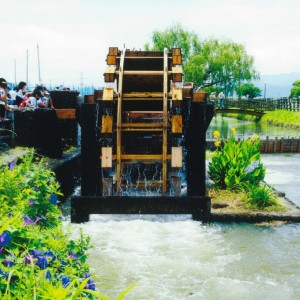 動き始めた三連水車