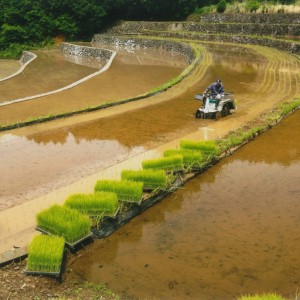 一人作業