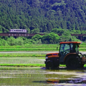 田植えも合理化