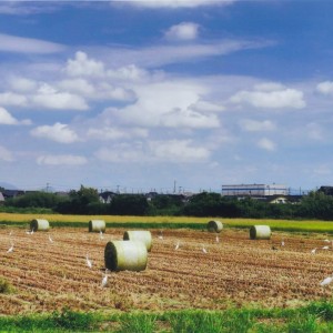 共存－２