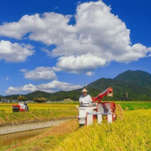 宝満山の清い水の恩恵
