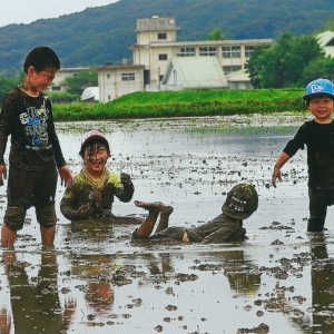 合戦の後