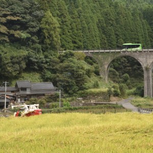 里山の秋