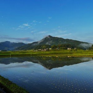 早朝の山里